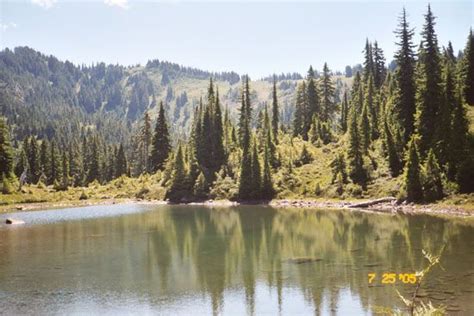 Deer Lake, Washington | Post apocalyptic books, Lake house, Pacific ...