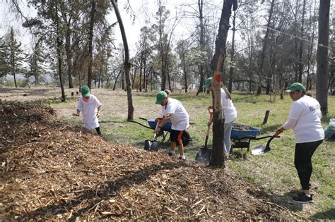 Parque De La Hoja Restaurado Por Vecinos Y Gobierno De Naucalpan