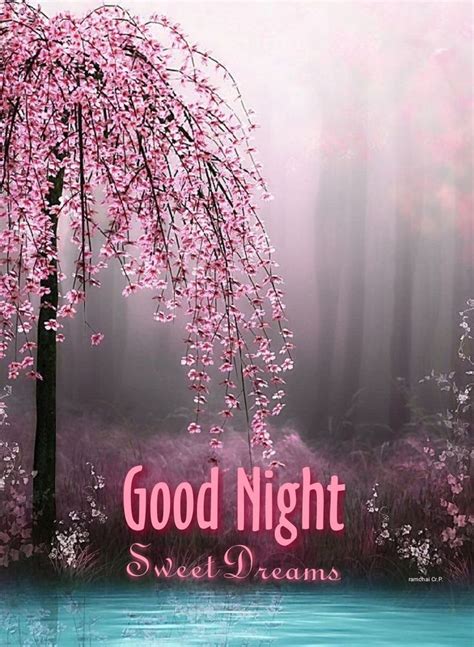 Pin By Ramchai Chuenbumrung On Good Night1 Good Night Sweet Dreams