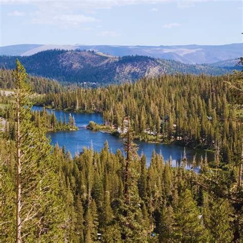 Mammoth Lakes Fishing Spots: Tips For Visiting Mammoth And Fishing Its ...