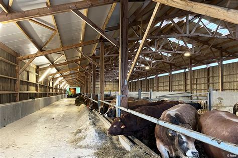 PRÈS DE SEDAN UNE ÉTABLE POUR VACHES ALLAITANTES MODULABLE ET