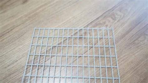 Hot Dipped Galvanized Fencing Iron Netting 10 Gauge Welded Wire Mesh