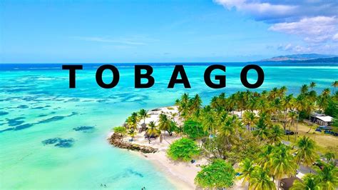 Tobago Travel Guide Trinidad And Tobago All Top Sights In 4k Drone