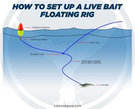 Pier Fishing Rigs That Work Best In California Waters