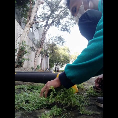 Perawatan Taman Bersihkan Rumput Di Sari Rasa Oleh Jaya