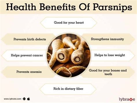 Benefits Of Parsnips And Its Side Effects Lybrate