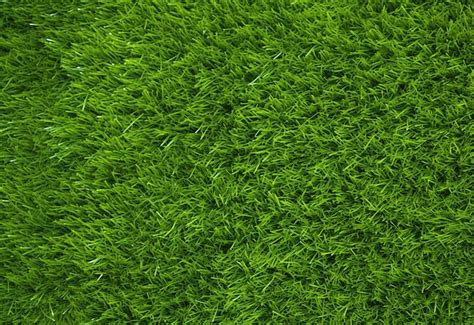 Premium Photo | Lush Green Grass Texture Background