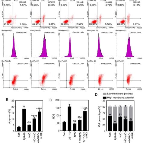 Effects Of Nac On Arpe Retinal Pigment Epithelial Cell Viability