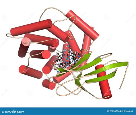 intrinsic factor  protein  illustration stock illustration