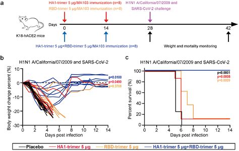 A Combination Vaccine Against Sars Cov 2 And H1n1 Influenza Based On