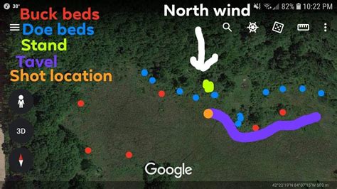 Elite Public Land Swamp Setup Overlooked Edge Youtube