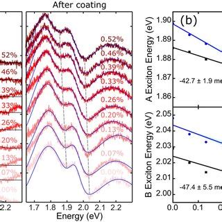 Strain Tunable Reflectance A Differential Reflectance Spectra At