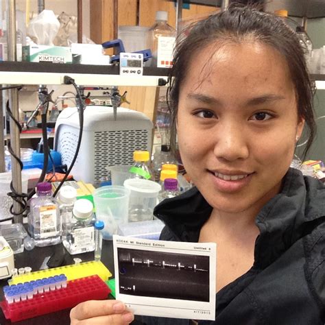 Jennifer Ding Undergraduate Research And Scholarships