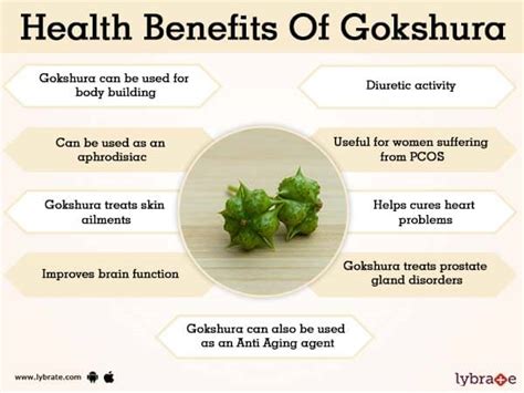 Gokshura Benefits Uses And Its Side Effects Lybrate