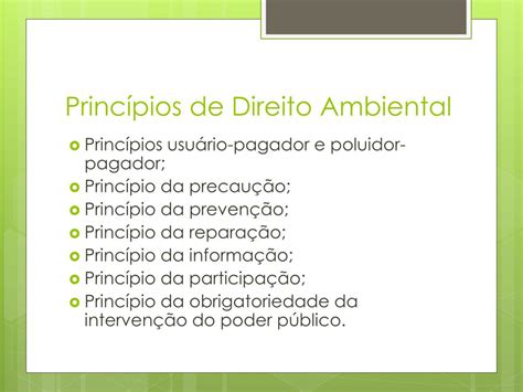 S O Princ Pios Do Direito Ambiental Exceto