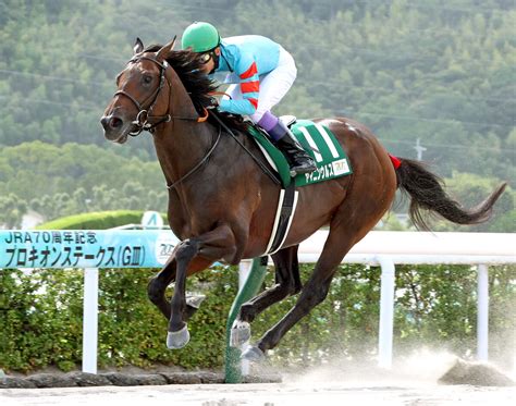 【プロキオンs】武豊騎手騎乗のヤマニンウルスが無傷5連勝で重賞初制覇「この先どこまで強くなるのか」 Umatoku 馬トク