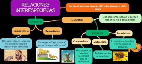 Tomidigital Relaciones Intra E Interespecíficas