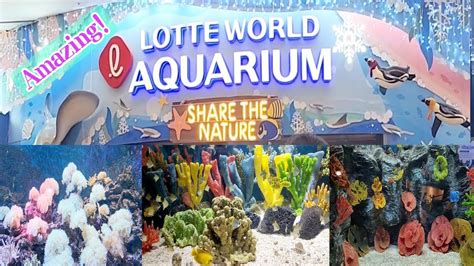 Jl Lifestyle Lotte World Aquarium In Seoul Korea