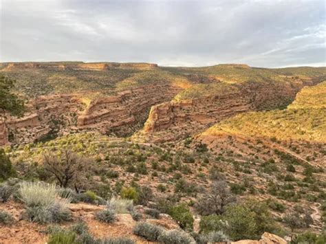 10 Best Hikes And Trails In Sand Flats Recreation Area Alltrails
