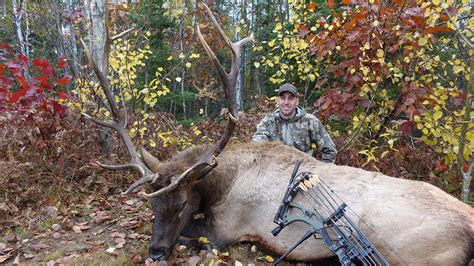 Wisconsin bowhunter killed bull elk on opening day near Clam Lake
