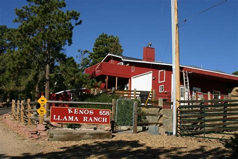 Kenos Llama Ranch And Guest House Estes Park Colorado Tarifs 2024