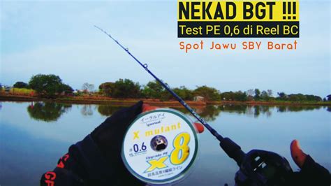 Mancing Gabus Pakai Pe Di Reel Bc Budz Official Casting Ikan