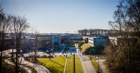 sdu researchers    cited