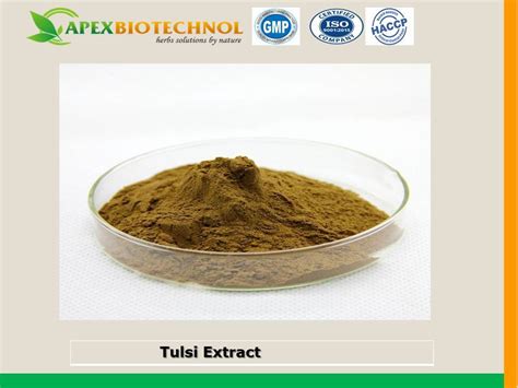 APEX BIOTECHNOL Ocimum Sanctum Leaf Extract Pack Size 25 Kg