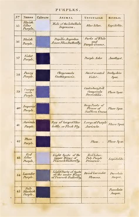 No Brash Festivity Nobrashfestivity Patrick Syme Charts For