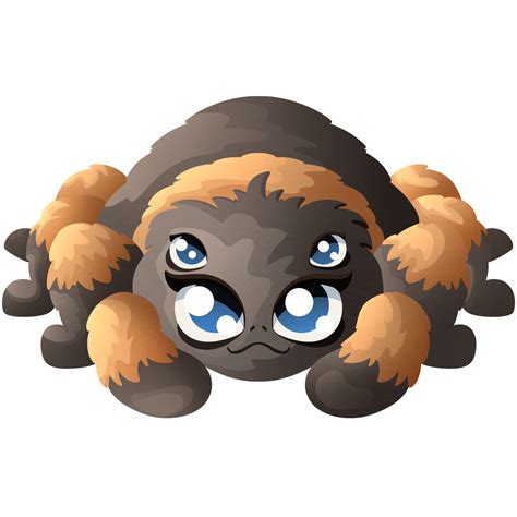 Good spider. Home pet. Cute insect with pretty eyes. Love to animals ...