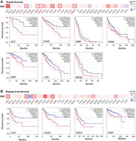 Comprehensive Analysis Of The Oncogenic And Immunological Role Of FAP