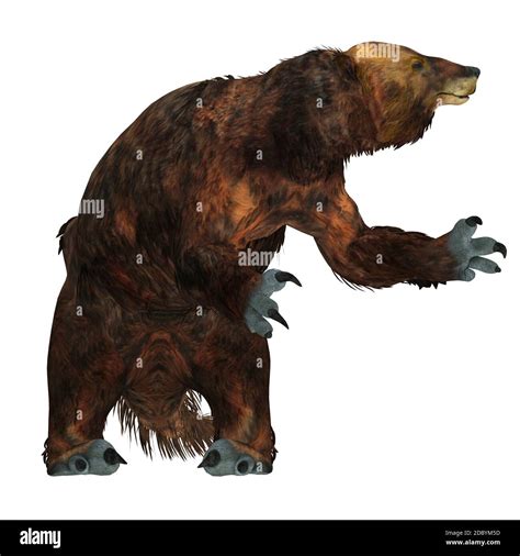 Extinct Mammal Megatherium Americanum Giant Hi Res Stock Photography