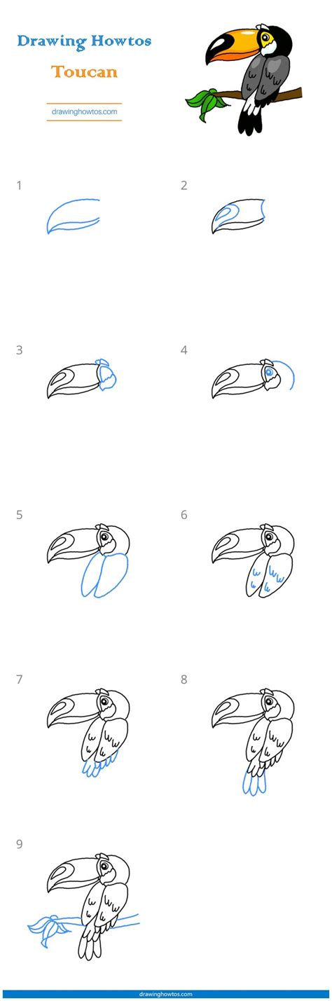 How to Draw a Toucan - Step by Step Easy Drawing Guides - Drawing Howtos