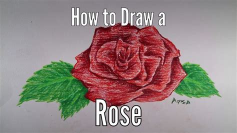 How to draw a rose with color pencil | Rose drawing, Colored pencils ...