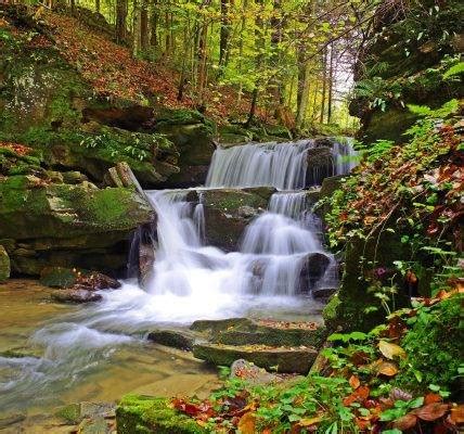 Bieszczadzki Park Narodowy Przyroda Polska Ro Liny Zwierz Ta Ekologia