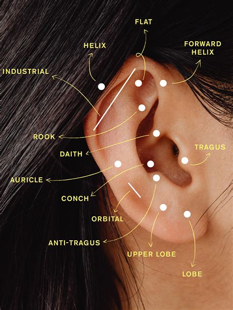 Your Guide To The Different Types Of Ear Piercings Who What Wear