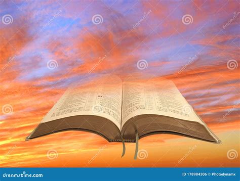 Bible Birds Of Freedom Sky Clouds Flying Fly Flight Spiritual Spirituality God Bibles Open