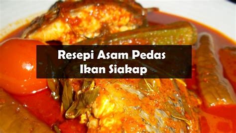 resepi asam pedas ikan siakap  lazat  resepi