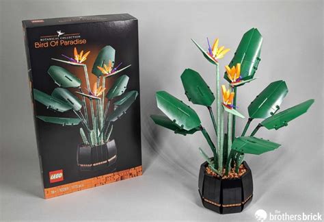 LEGO-Botanical Collection-10289-Bird of Paradise-Review-Q9861-35 - The ...