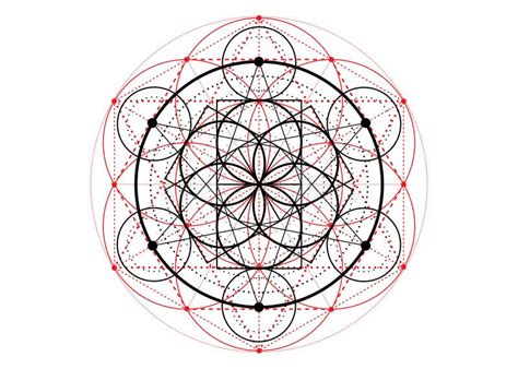 Seme Di Geometria Sacra Del Simbolo Di Vita Mandala Mistica Dell