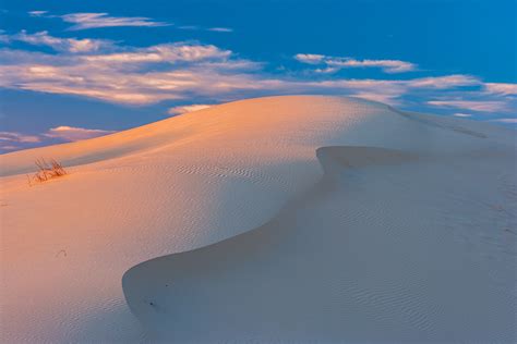 Photo: Monahans Sandhills State Park