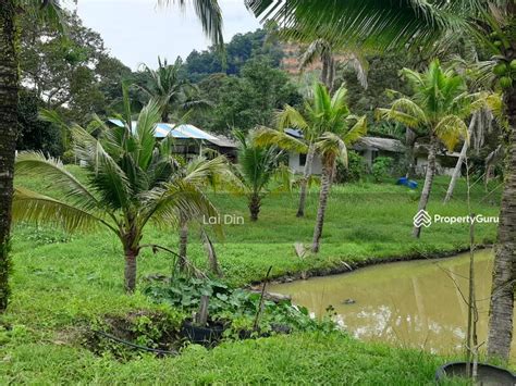 Homestay Durian Orchard Fruit Farm At Pertang Jelebu Jalan Kuala