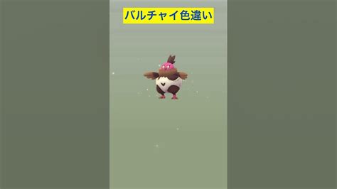 【ポケモンgo】バルチャイ色違いポケモンgo Pokemongo ポケモンgo色違い Shinypokemon Short