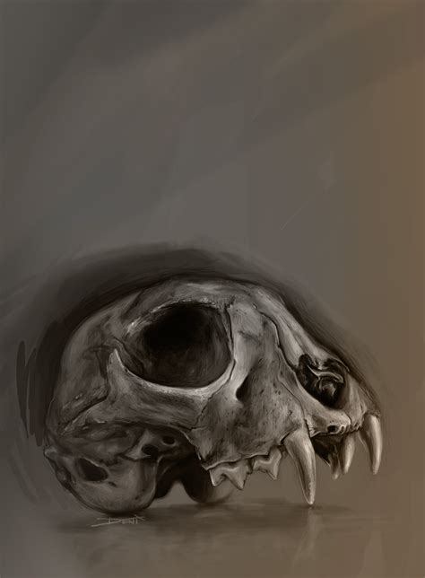 Realistic Skull Drawing At Getdrawings Free Download