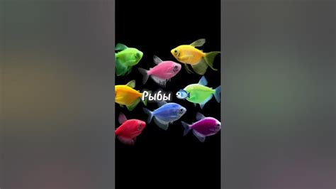 Милашки 😍 - YouTube