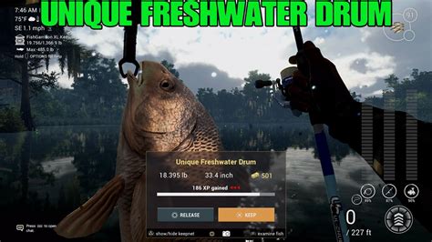 Unique Freshwater Drum Hotspot Guide Quanchkin Lake Fishing Planet