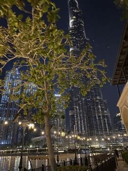 Kostenlose Hintergrundbilder Dubai Burj Khalifa Baum Architektur