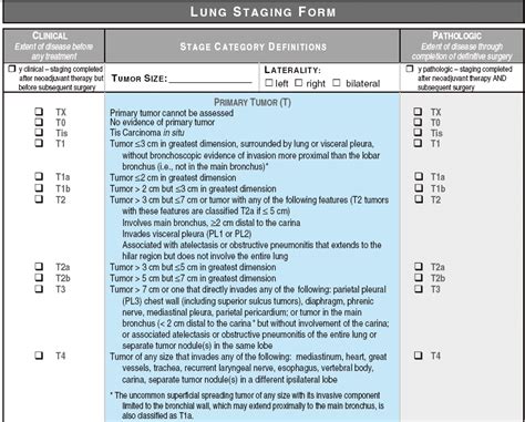 Ajcc Staging Manual 8th Edition Pdf