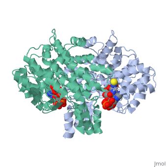 Cts Proteopedia Life In D