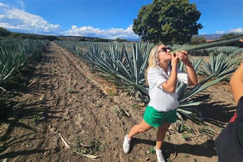 Oaxaca Hierve El Agua Mezcal Distillery And Lunch Tour